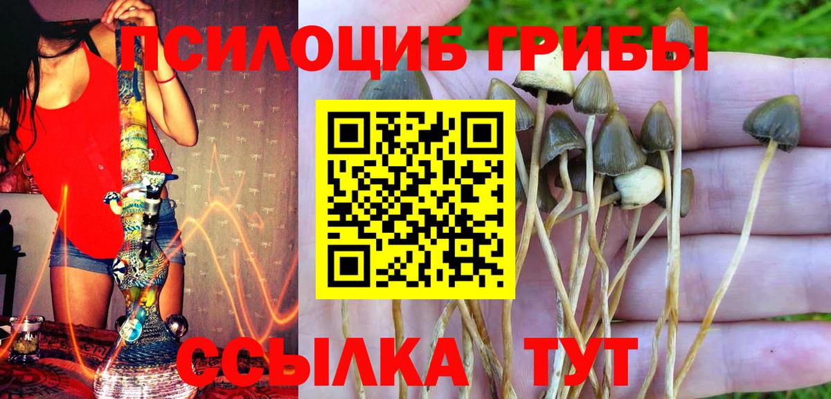Псилоцибиновые грибы GOLDEN TEACHER  Вход с VPN  Уссурийск 